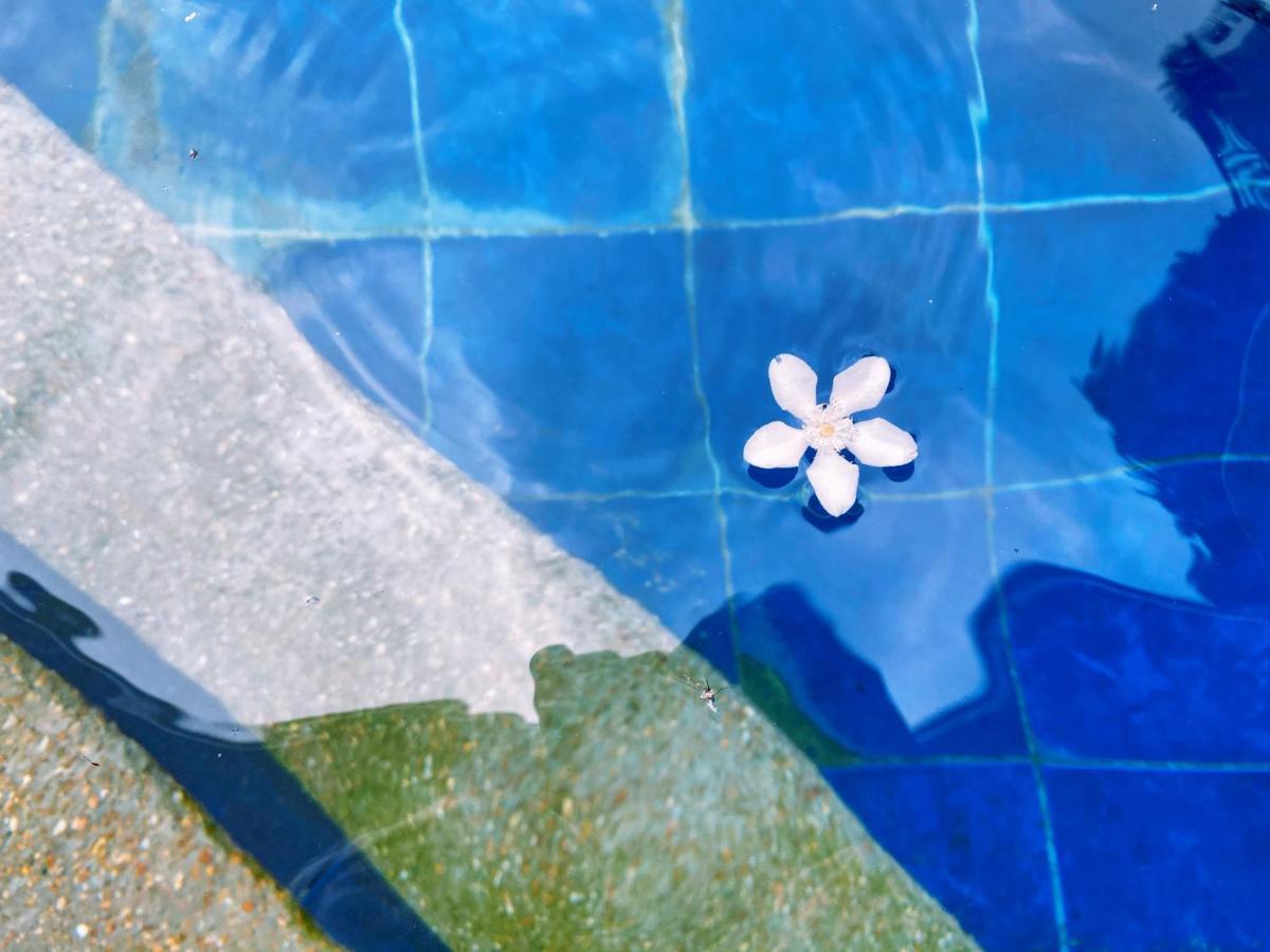 Molly Resorts Puerto Galera Zewnętrze zdjęcie